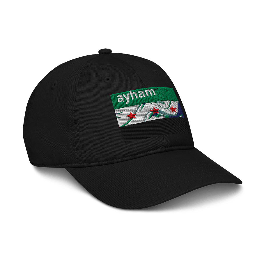 Organic Starry Wave Dad Hat product image (6)