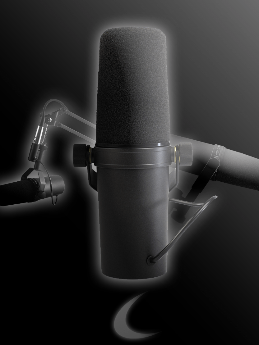 Shure SM7B Vendor product image (1)