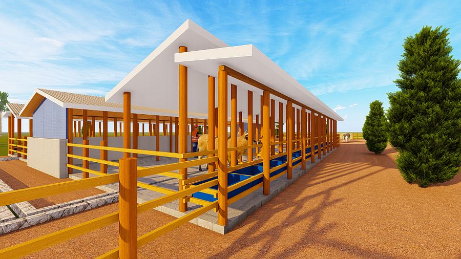 70 Dairy Cows Design Plan product image (5)