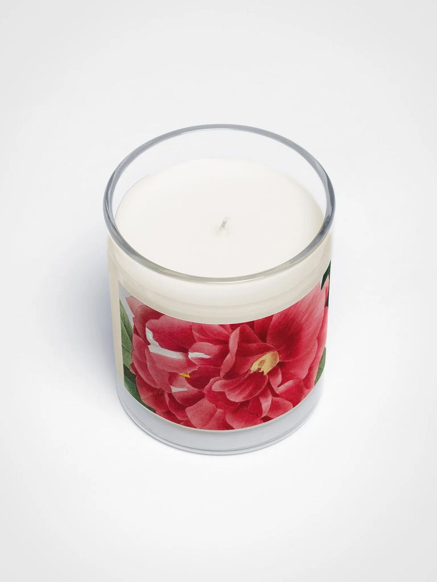 beaux fruits. Soy Wax Candle product image (5)