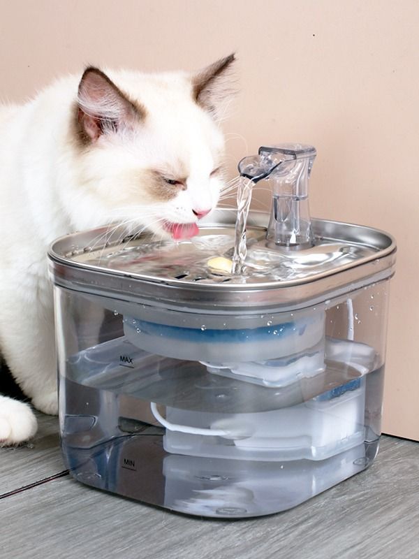 Pet Cat Dog Stainless Steel Automatic Circulation Water Dispenser Intelligent Fountain Pets Accessories product image (1)