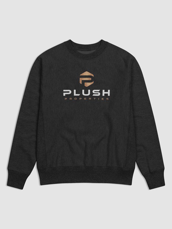 Plush Cotton Max Sweatshirt by Champion product image (1)