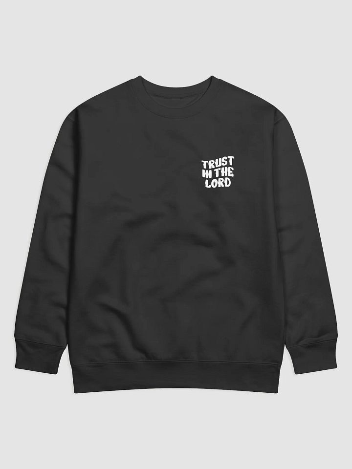 Night Lead Cotton Sweatshirt product image (3)