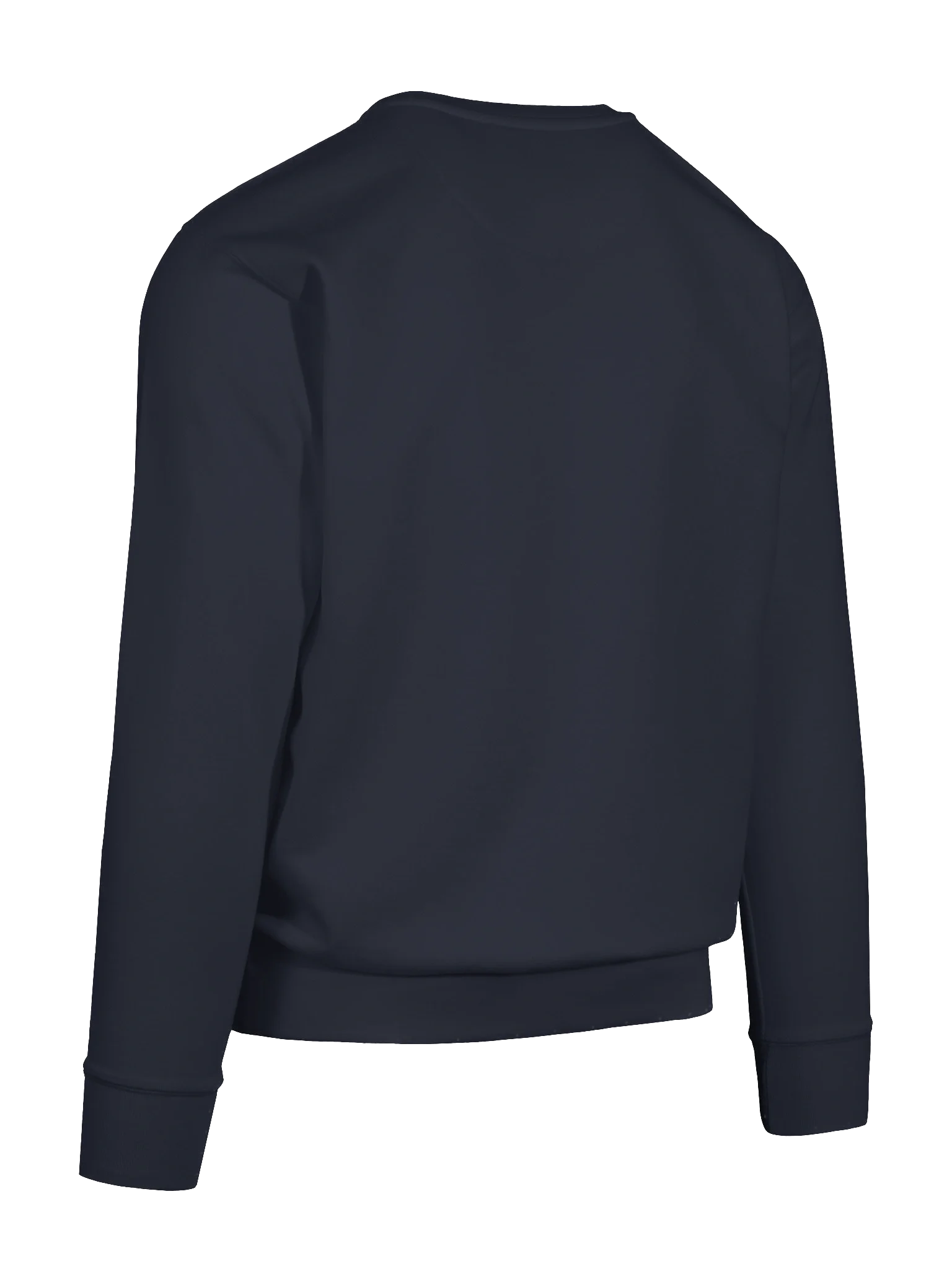 ArtemisStorm Sweatshirt product image (82)