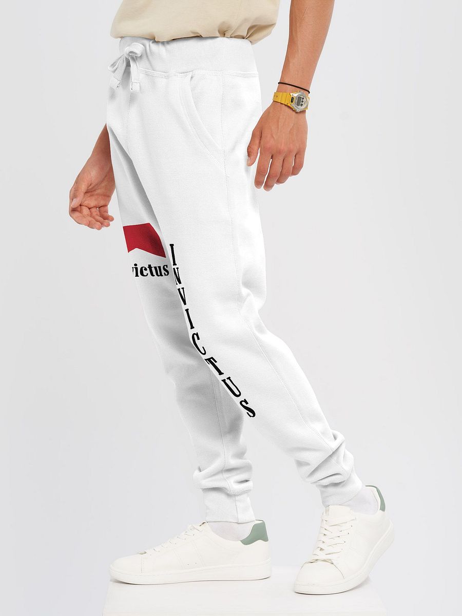 Invictus "Big Tobacco" Joggers product image (3)