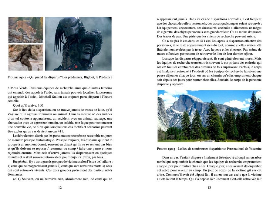 Personnes Disparues - Le plus effrayant «Missing 411» cas product image (4)