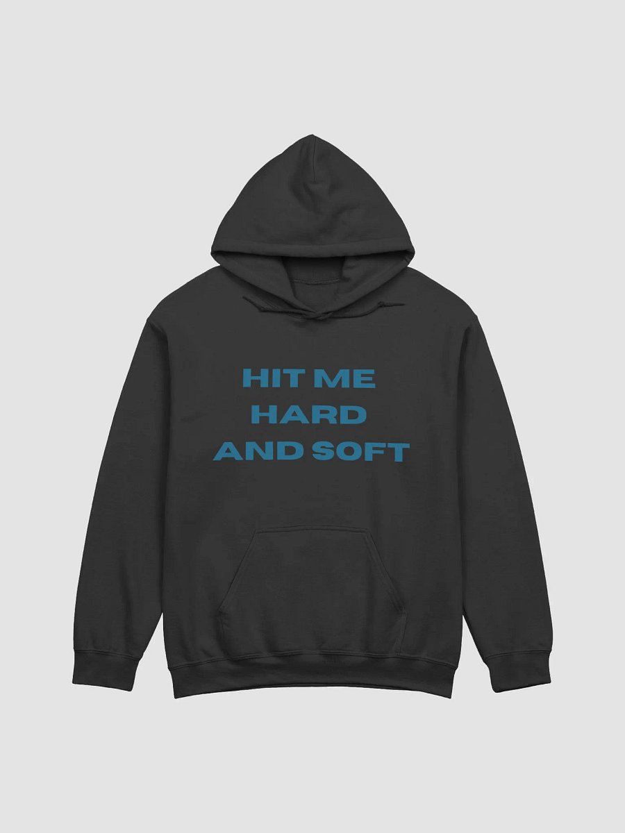 HIT ME HARD AND SOFT X BLOHSH | HOODIE product image (2)