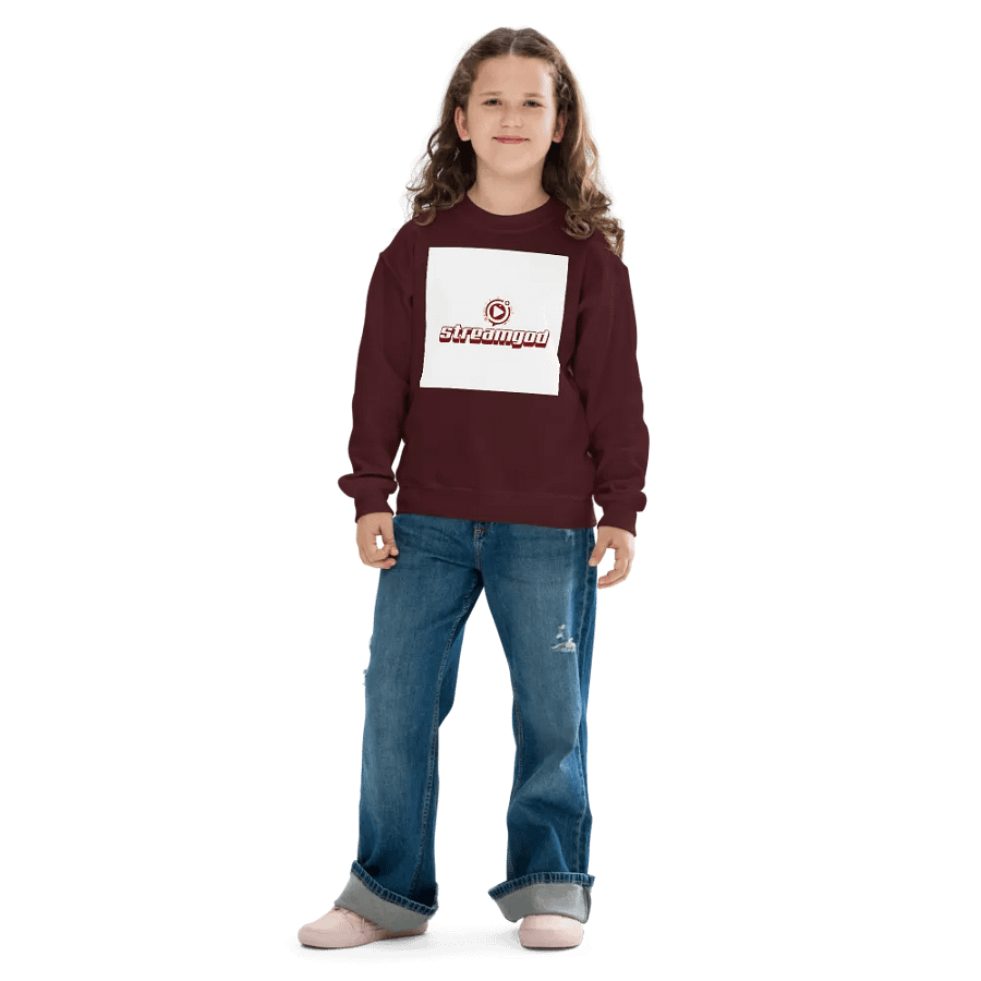 maroon youth STREAMGOD sweater product image (6)