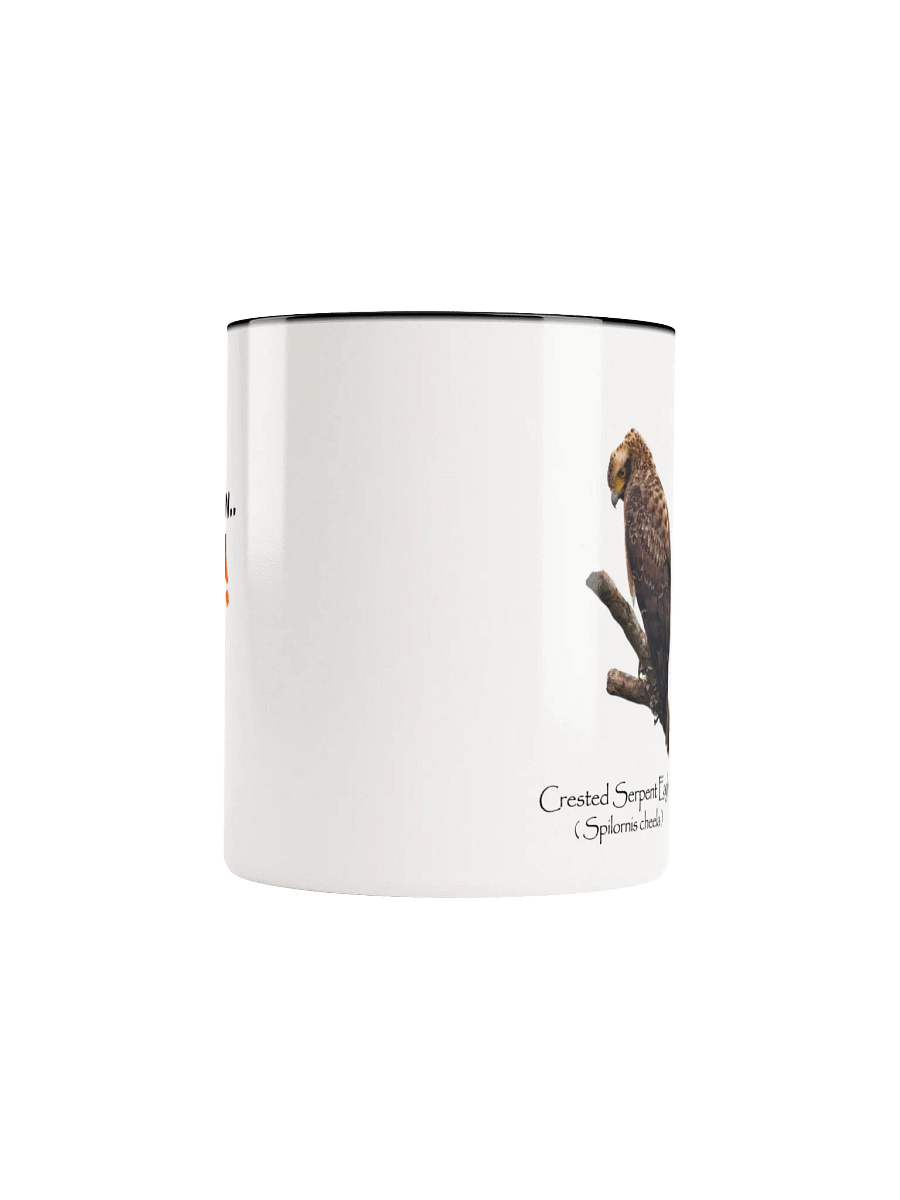 Crested Serpent Eagle mug product image (42)