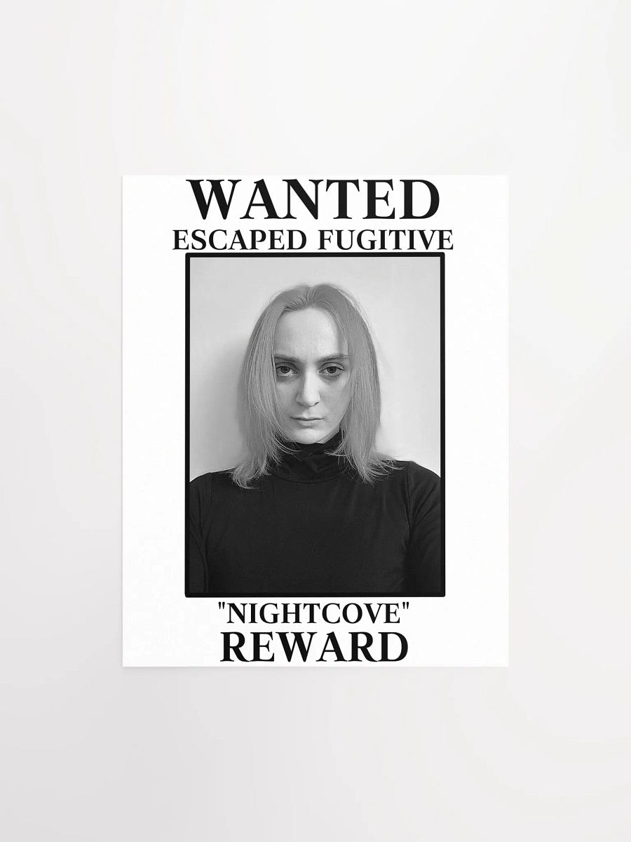 The Villain WANTED Poster product image (1)