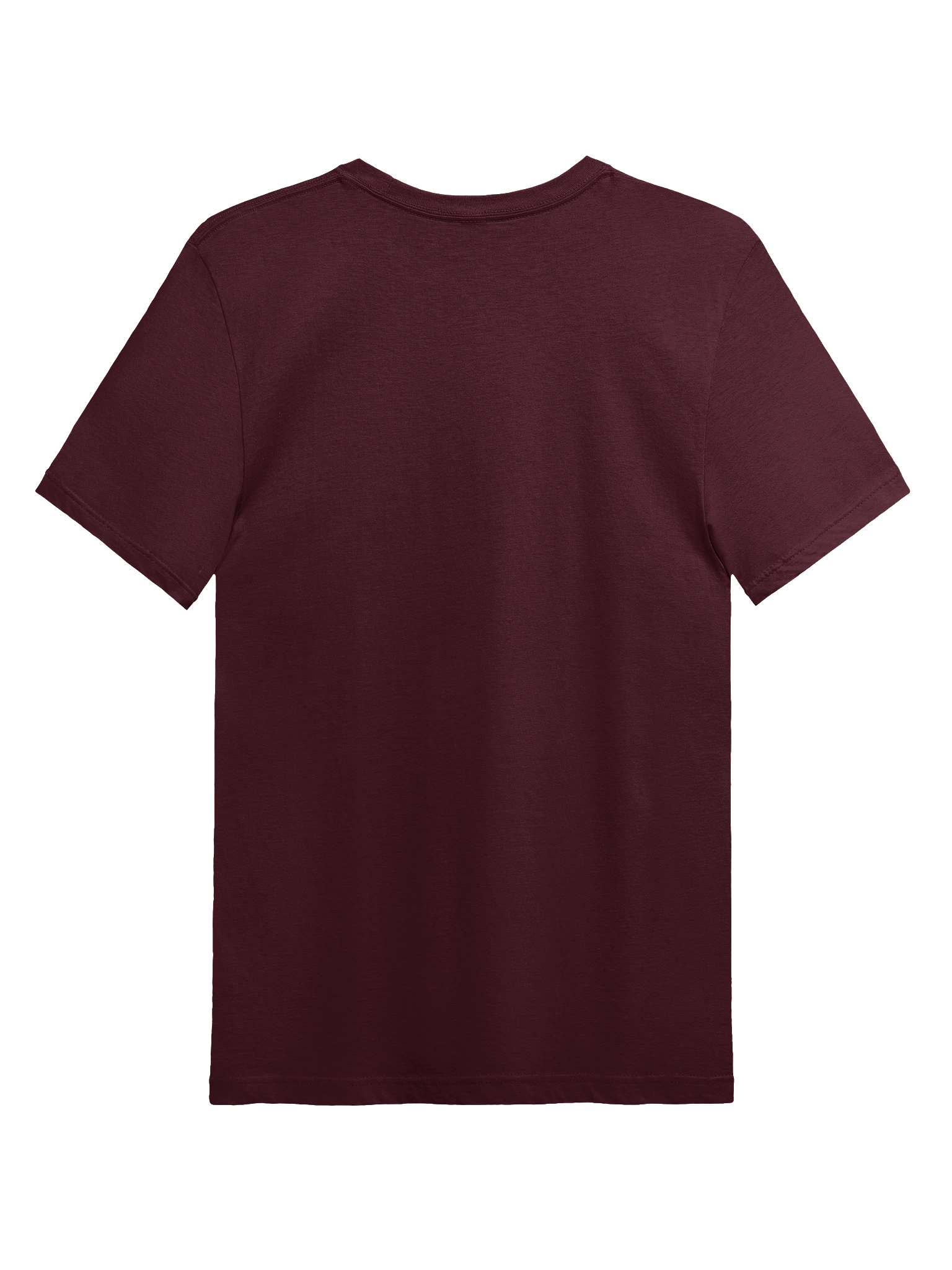 I've been to Janesville Next Level Tee product image (25)