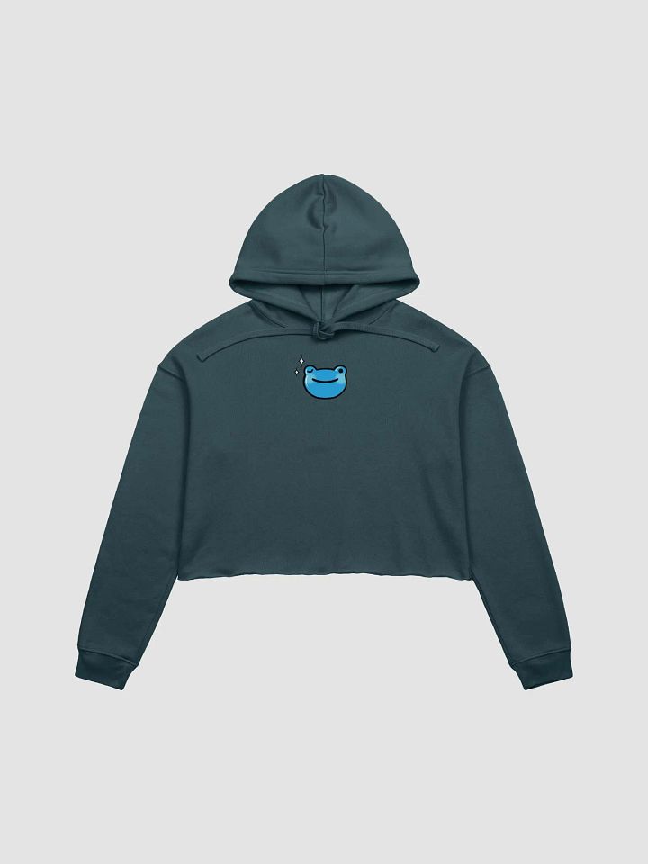 Wink Froge Crop Hoodie product image (2)