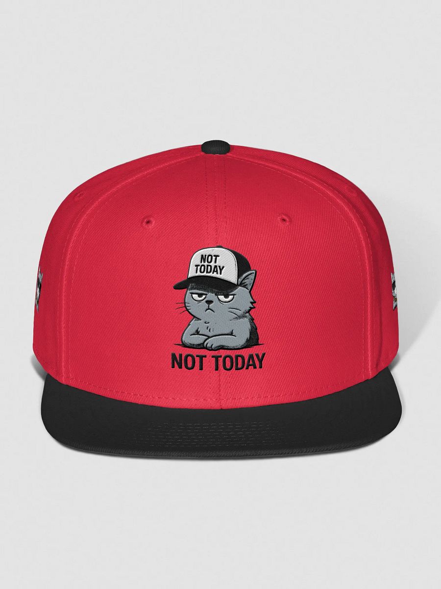 Otto Snapback-Cap aus Wollmischung product image (93)