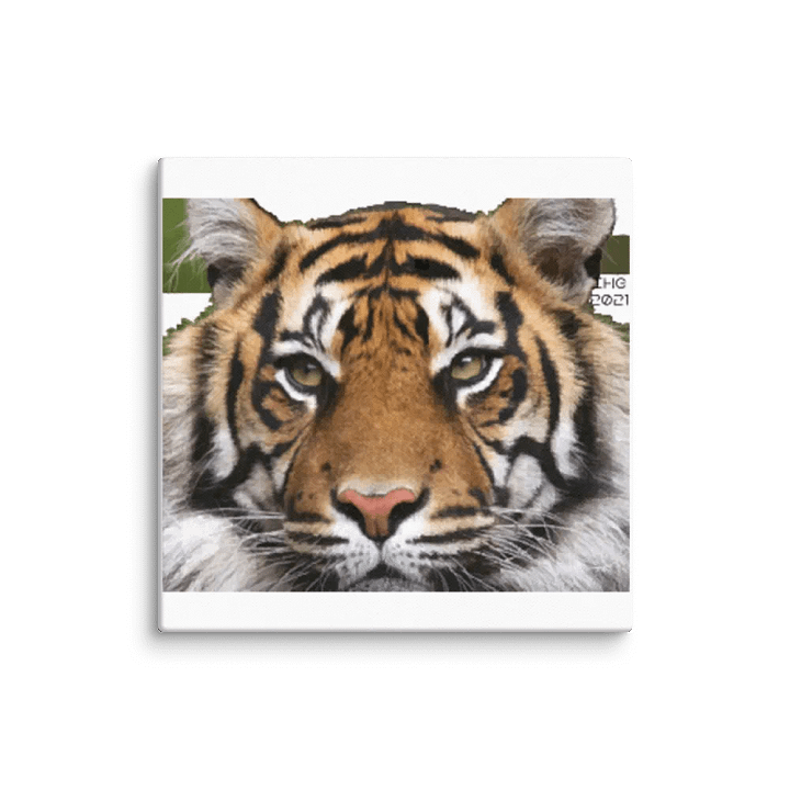 Tiger Digital Drawing Canvas product image (1)
