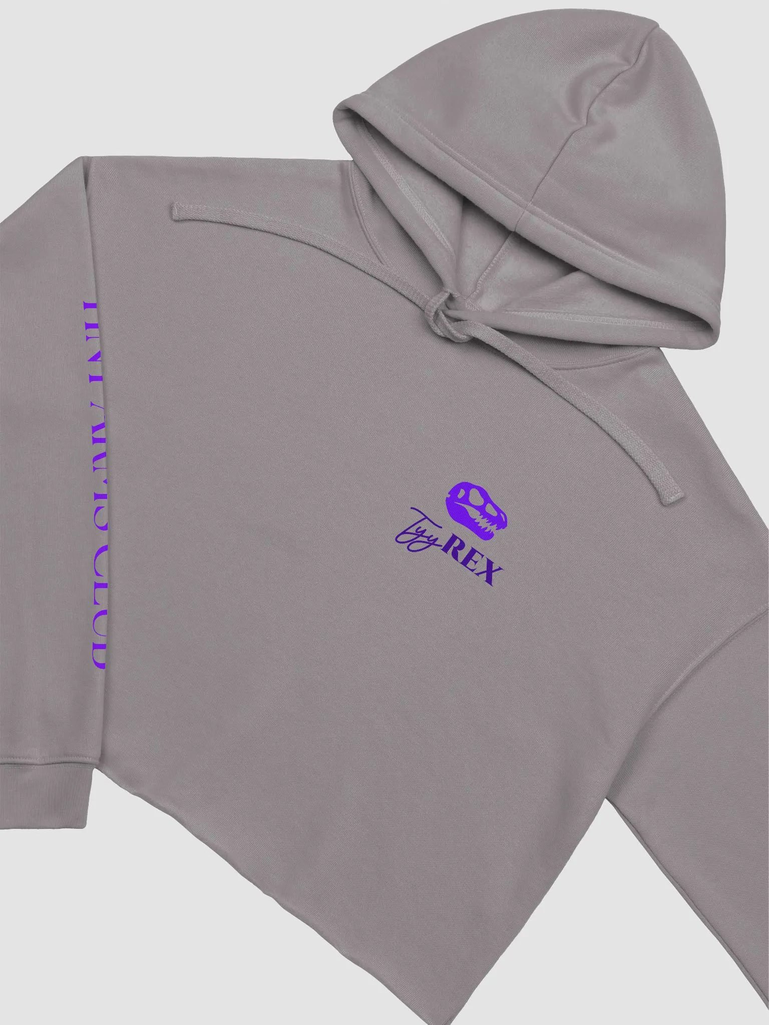 TyyRex Logo Crop Hoodie product image (25)
