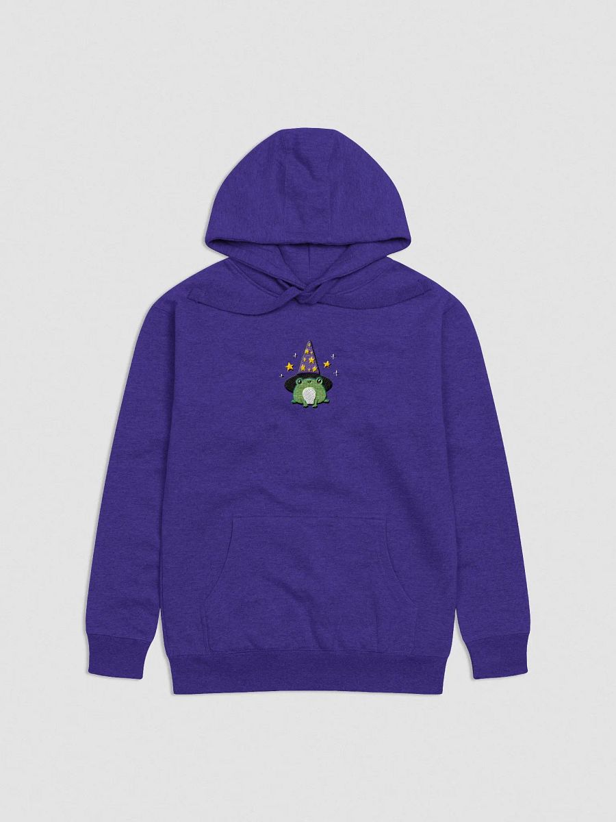 Enchanted Frog Wizard Embroidered Unisex Hoodie product image (5)