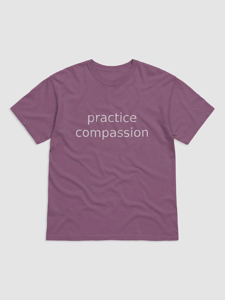 Practice Compassion T-Shirt product image (1)