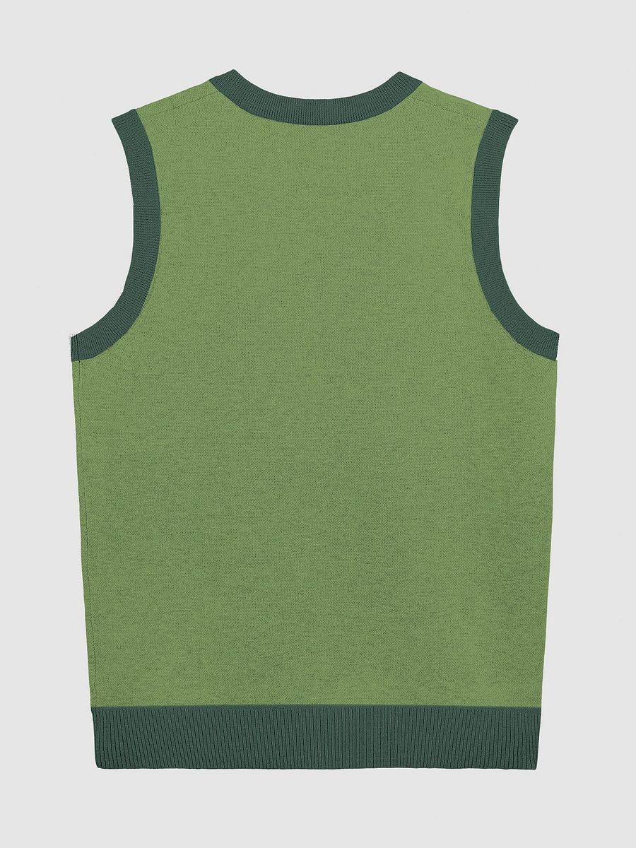 PLEASE DON'T MAKE ME TALK (duotone green) knitwear vest product image (9)