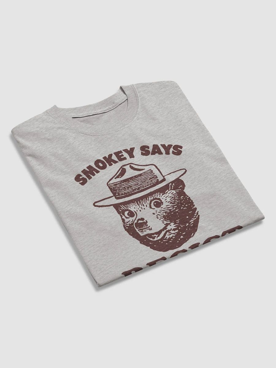 Smokey Says RESIST! Heavyweight Alt National Parks Bear T-Shirt product image (36)