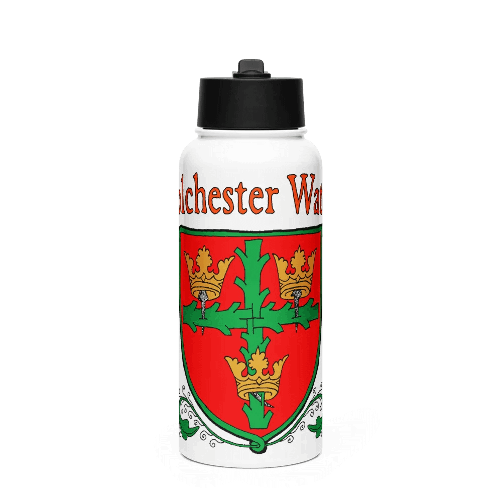 Stainless Steel Water Bottle with a Straw Lid product image (1)