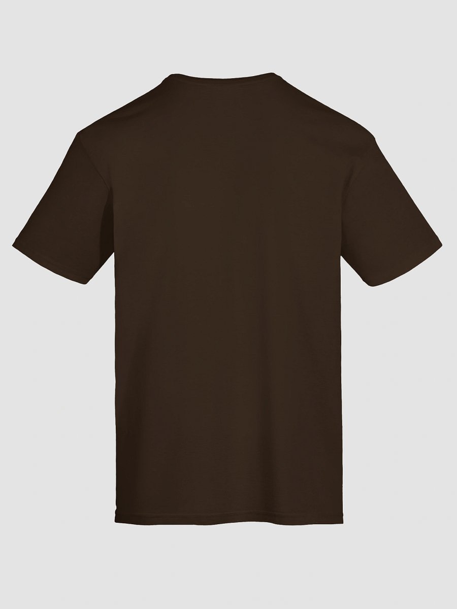 The Great Spiritual Pandemic Gilden Lightweight T-Shirt product image (11)