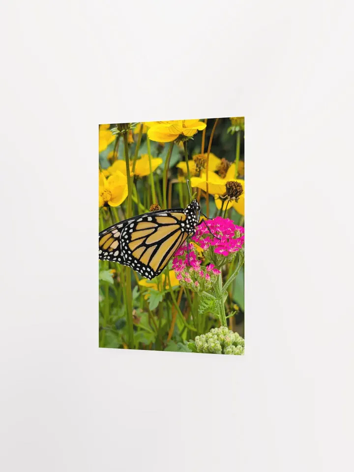 Tropical Monarch Butterfly Matte Poster 5x7" product image (2)