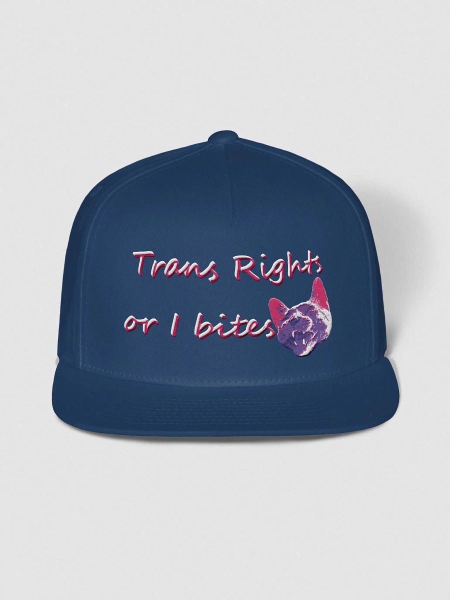 TROIB Snapback hat in pink product image (2)