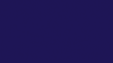 VibexVt