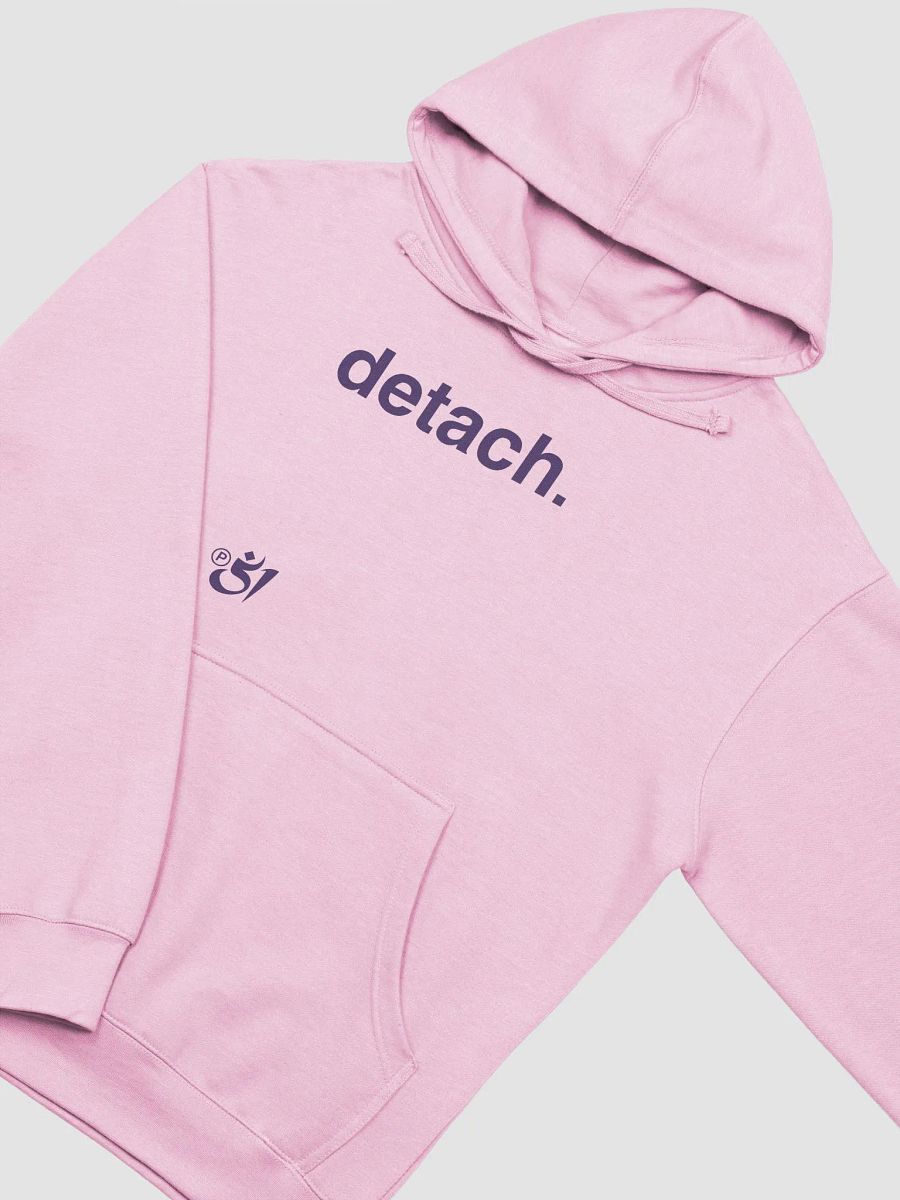 detach. hoodie product image (3)