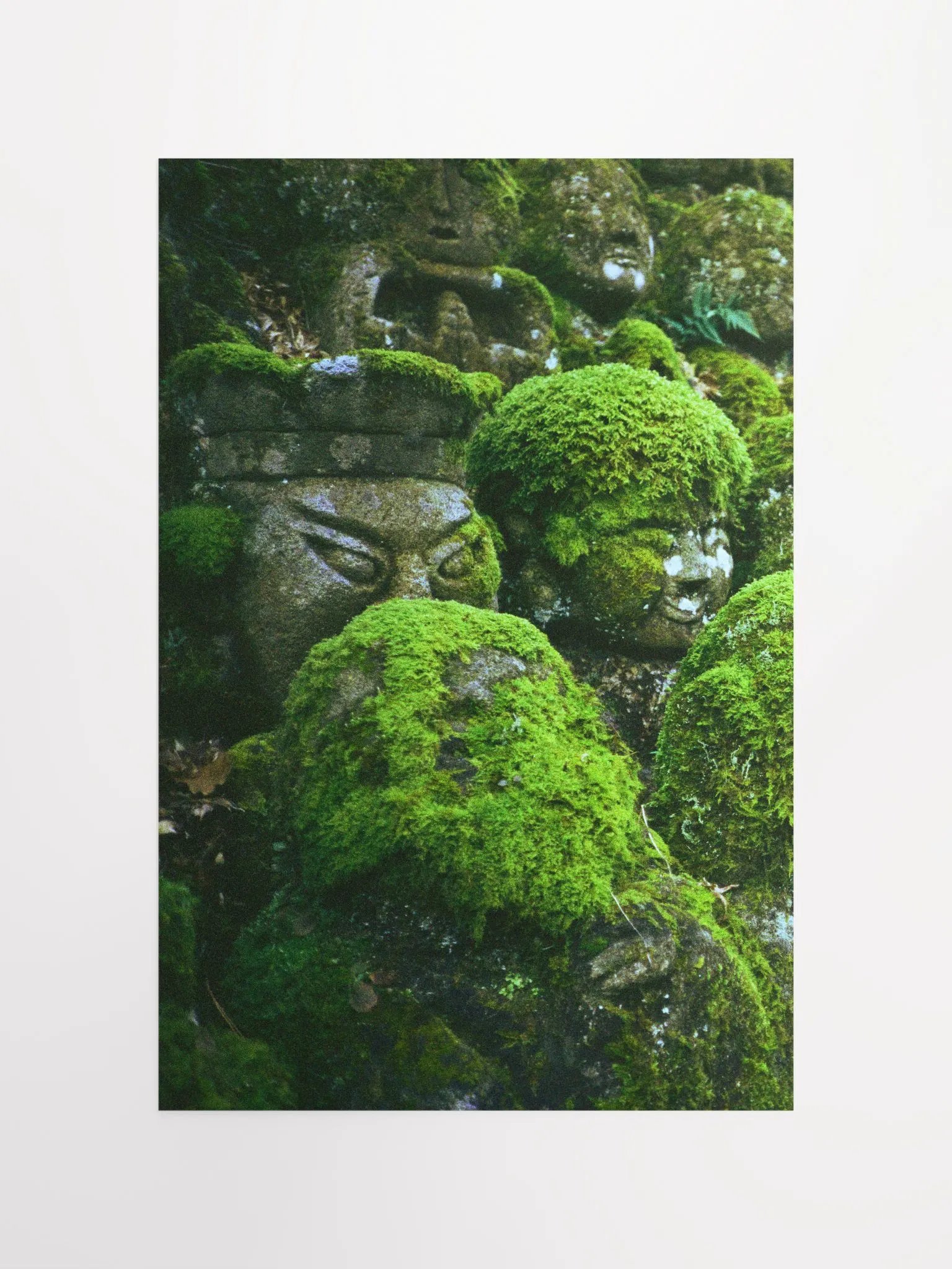 MOSSY BUDDHA (no frame) product image (4)