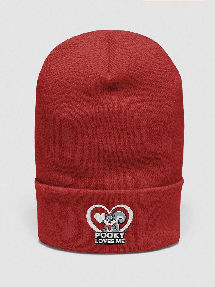 Pooky's Love Beanie product image (1)