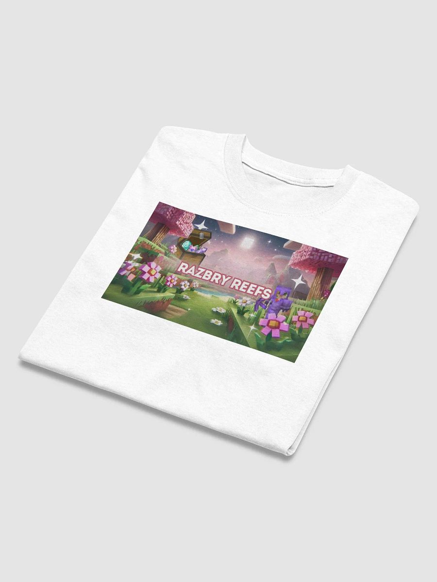 Razbry Reefs Dreamscape Tee product image (13)