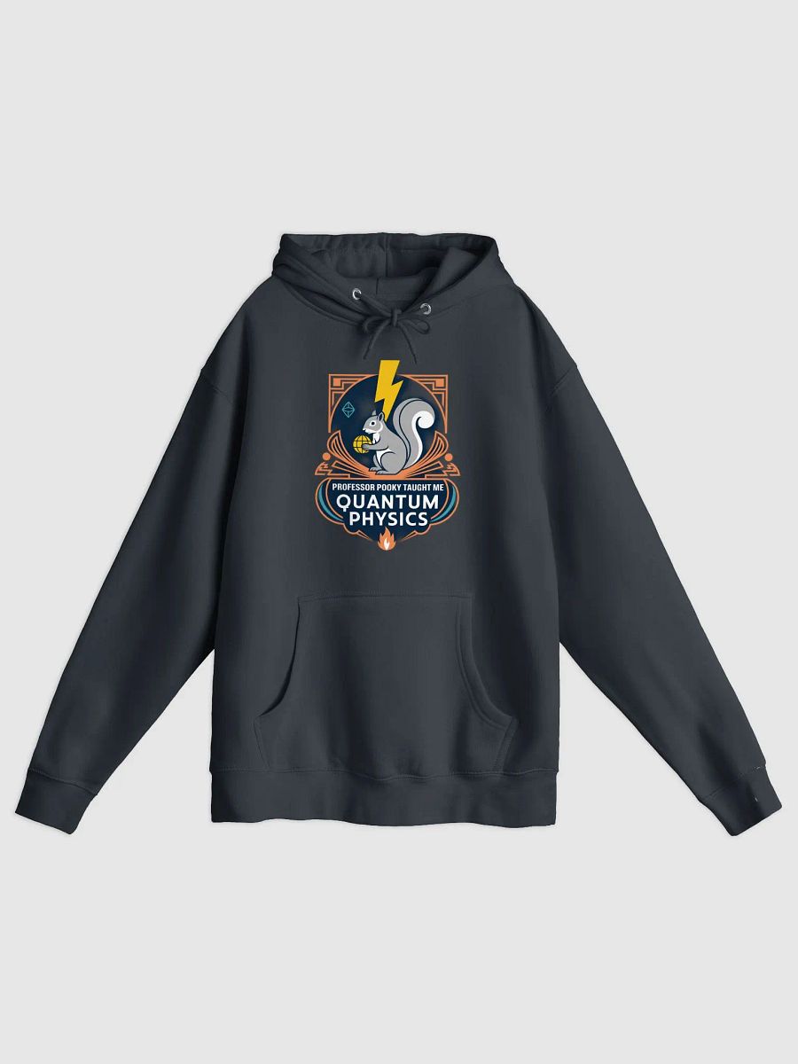 Premium, super soft Hoodie, Prpofessor Pooky Taught me Quantum Physics product image (1)