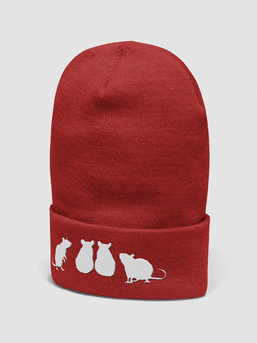 Oh rats! beanie product image (4)