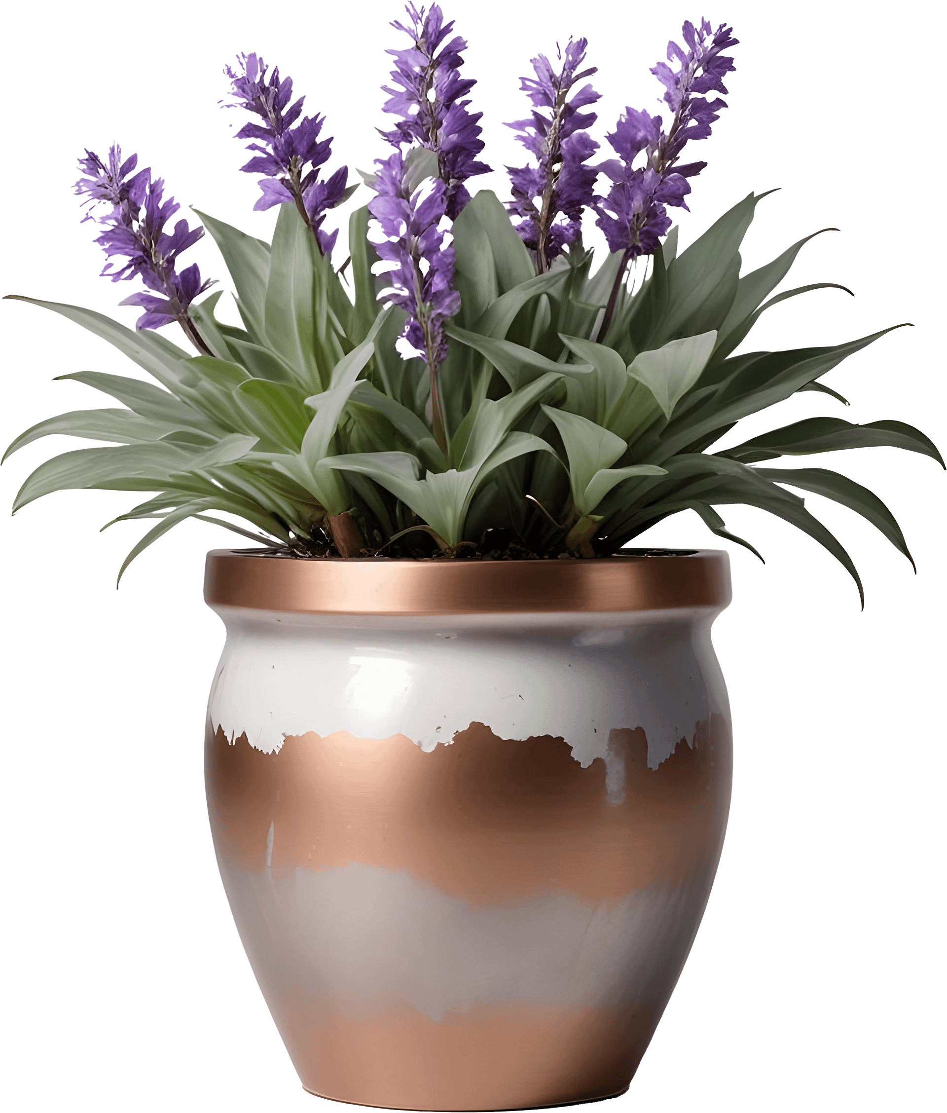 Set of 6 Provence-Inspired Objects, PNG product image (3)