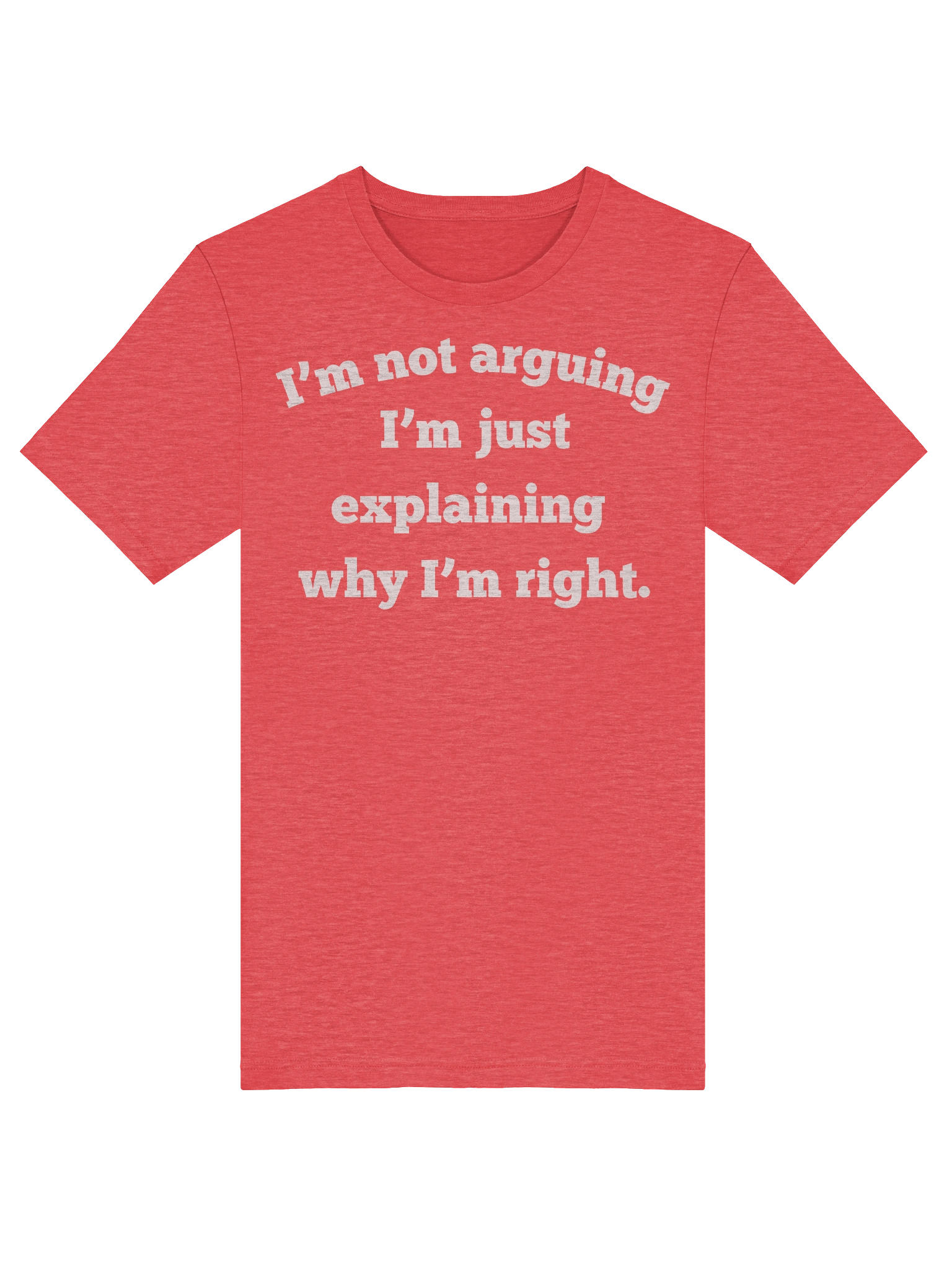 I'm Not Arguing I'm Just Explaining Why I'm Right Unisex T-Shirt | Funny Sarcastic Tee | Bella Canvas 3001 product image (5)