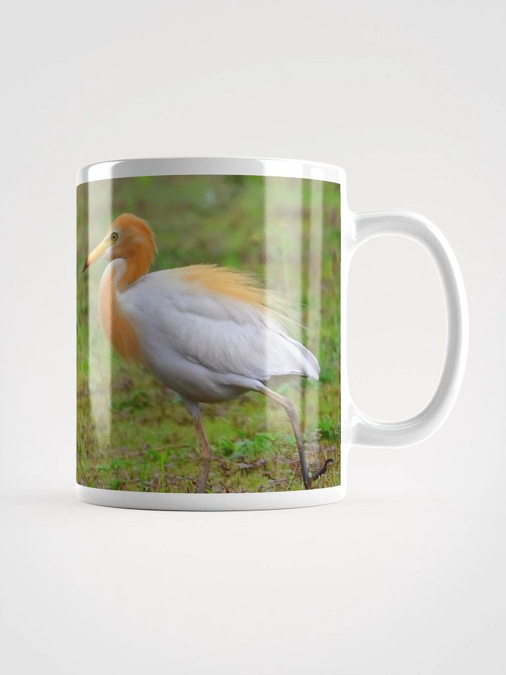 IUCAA Birds MUG product image (1)