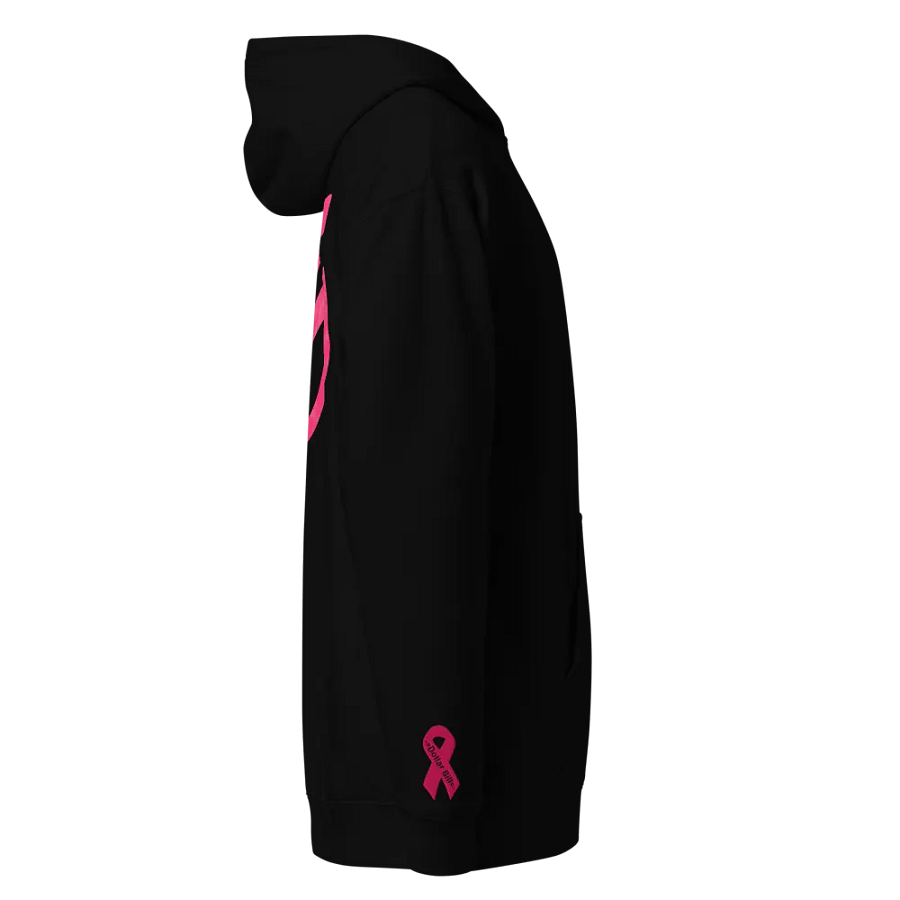 TopFrag™ -=Dollar Bill=- Independent Trading Co. Midweight Hoodie product image (4)