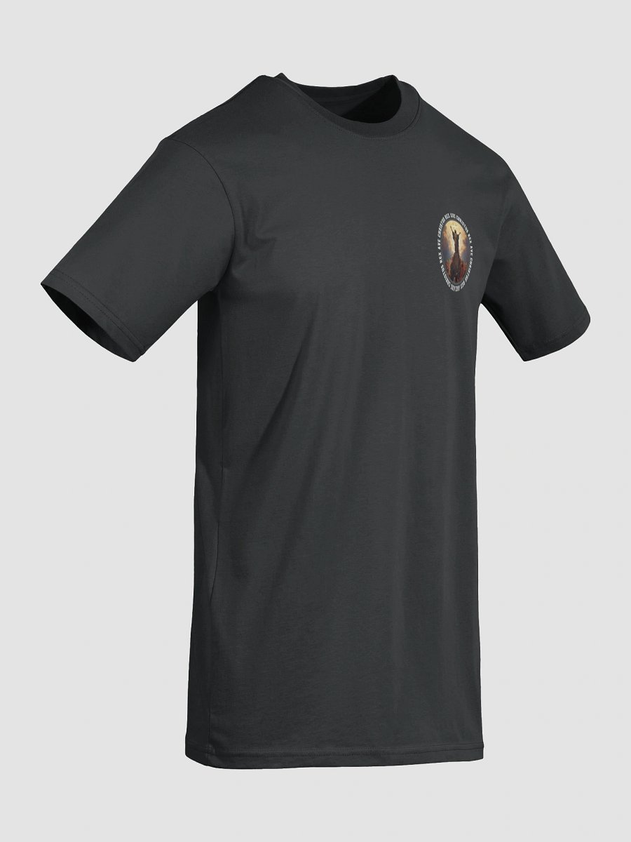 Jesus Gym Gear Heavy Tee product image (7)