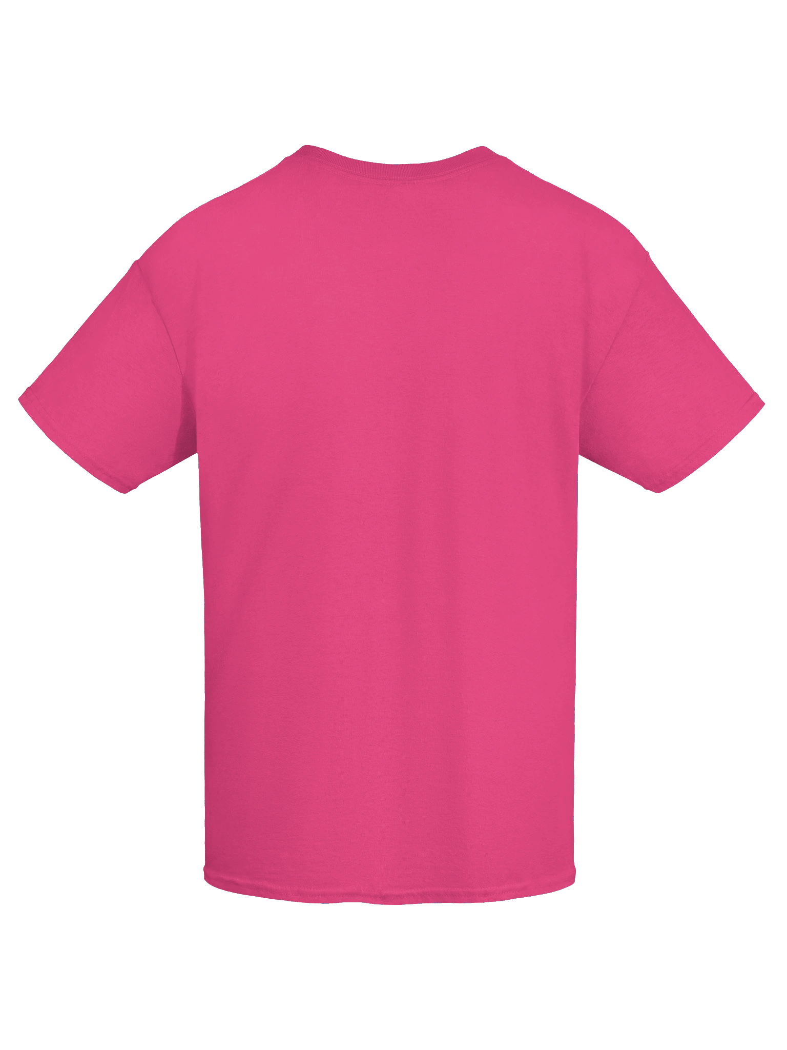 AppalShirt (Pink) product image (9)