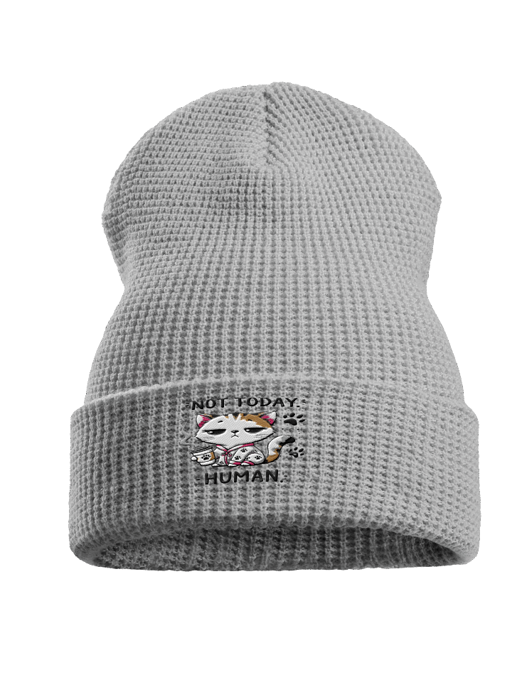 Light Grey Knitted Beanie Sarcastic Cat Coffee Quote – “Not Today Human” Cozy Winter Hat for Cat Lovers product image (1)