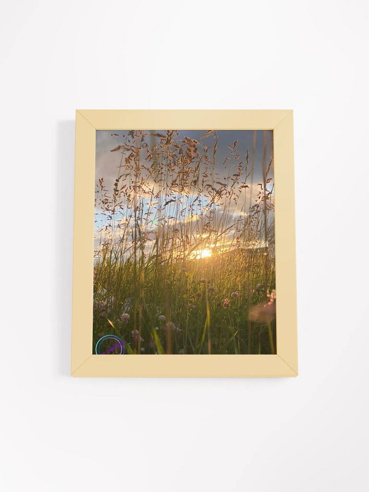 Looking Through the grass product image (1)