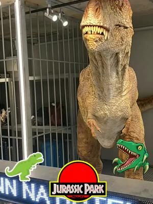 discovered the #hennnahotelnyc in #nyc while walking around a few weeks ago. #jurassicpark #jurassicparkseries #dennisnedry #raptor #raptors #velociraptor #utahraptor #trex #tyrannosaurus #tyrannosaurusrex #rex #dinosaurs #dinosaur #michaelcrichton #fypシ #fypageシ #fypage #fyp #fypシ゚viral #fypシ゚ 