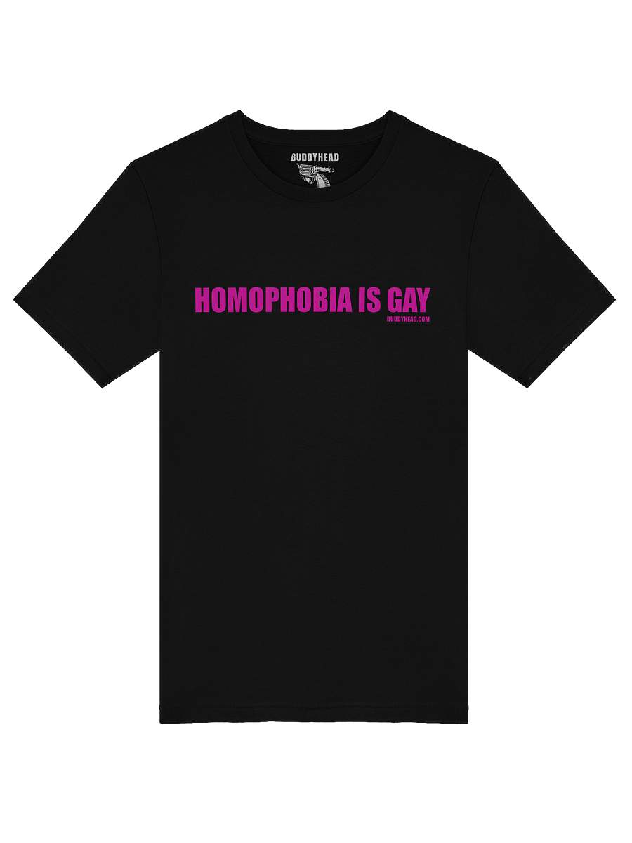 Homophobia Is Gay tee product image (23)