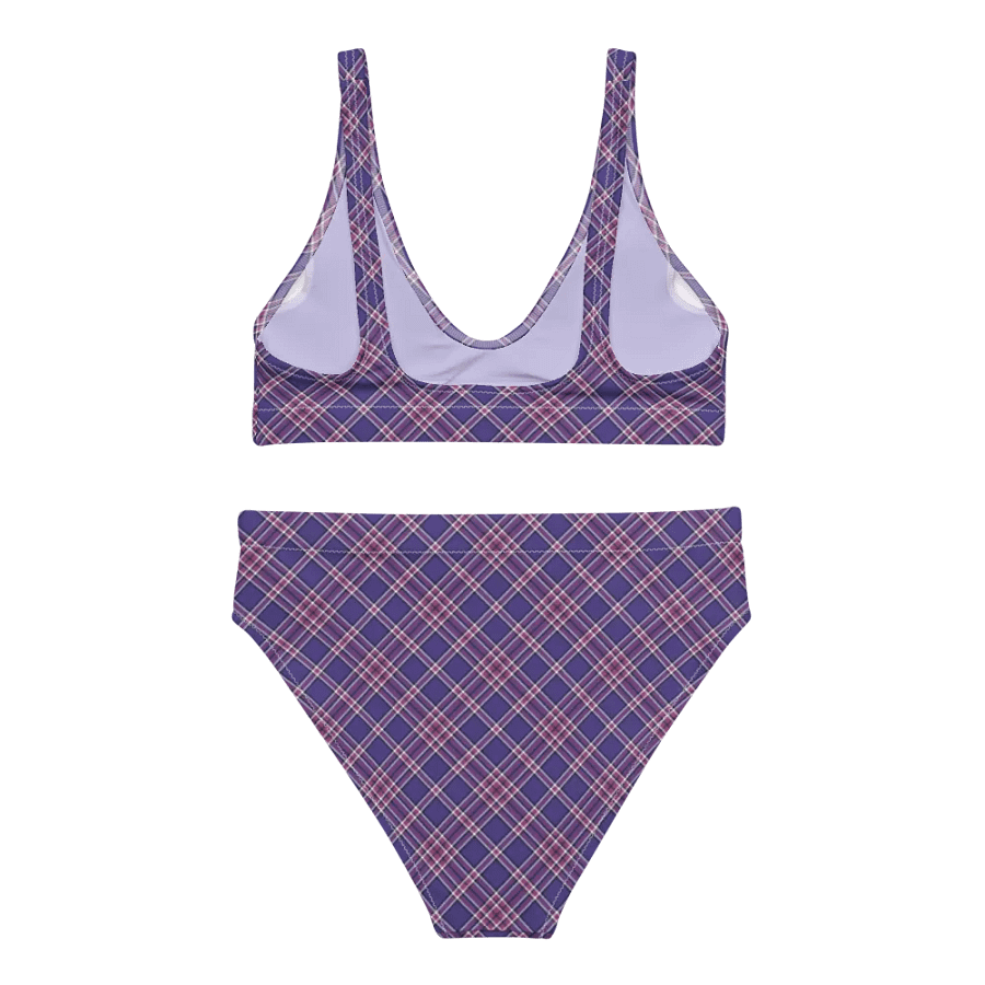 Purple Orchid and Violet Plaid Bikini product image (4)