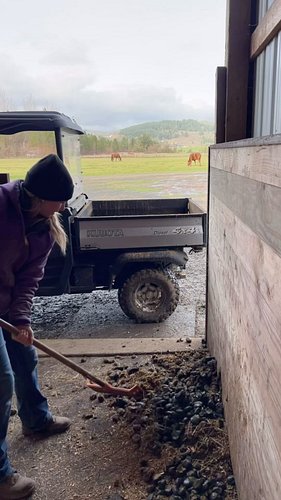 Clean stalls, feed horses, repeat. 😂

#horses #horsebarn #horselife #horsechores #horsesofinstagram #horsegirlproblems