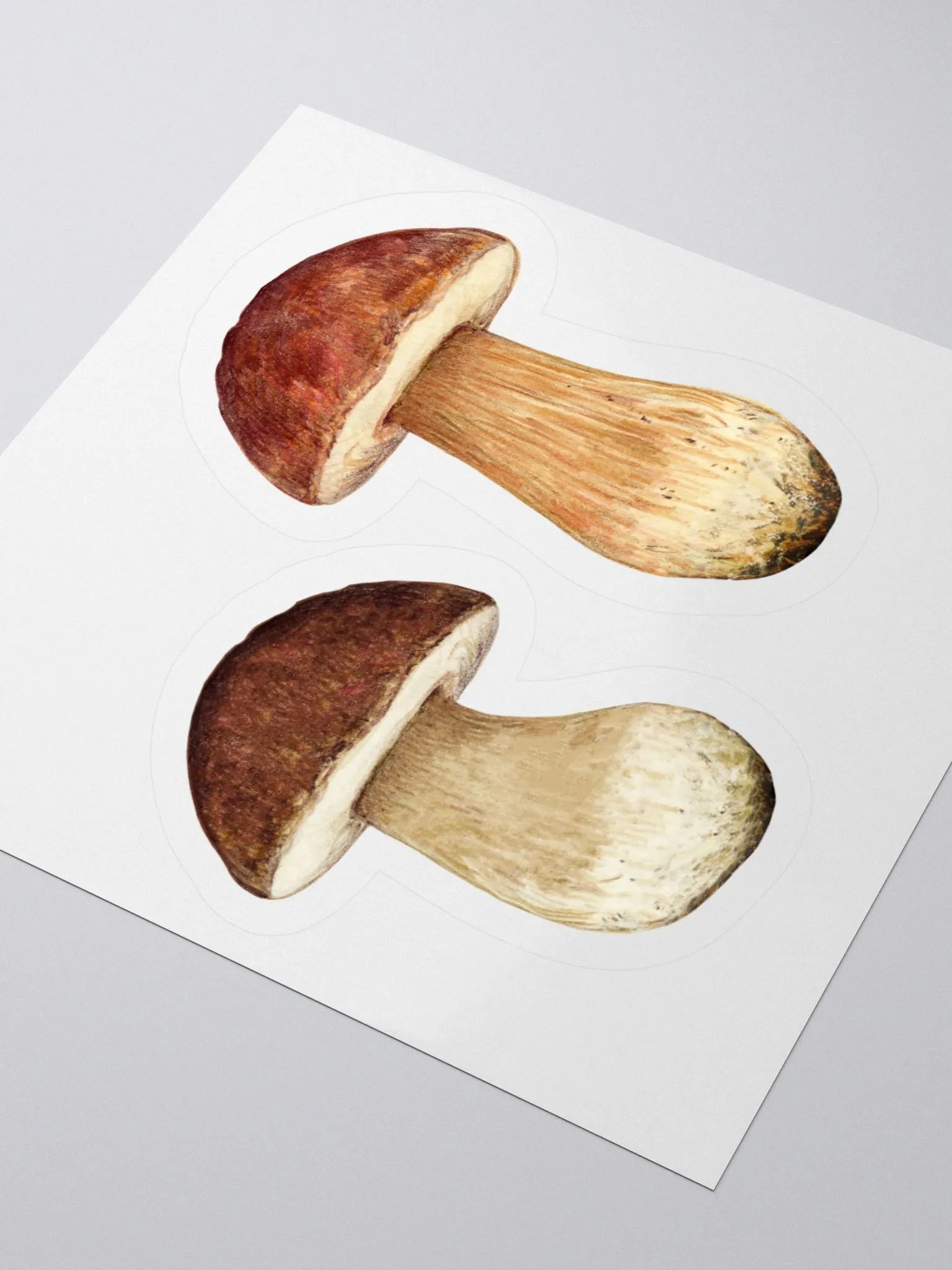 Boletus mushroom stickers product image (1)
