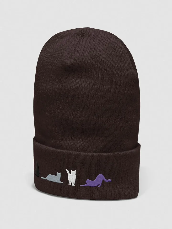 Asexual Pride Cats Beanie product image (8)