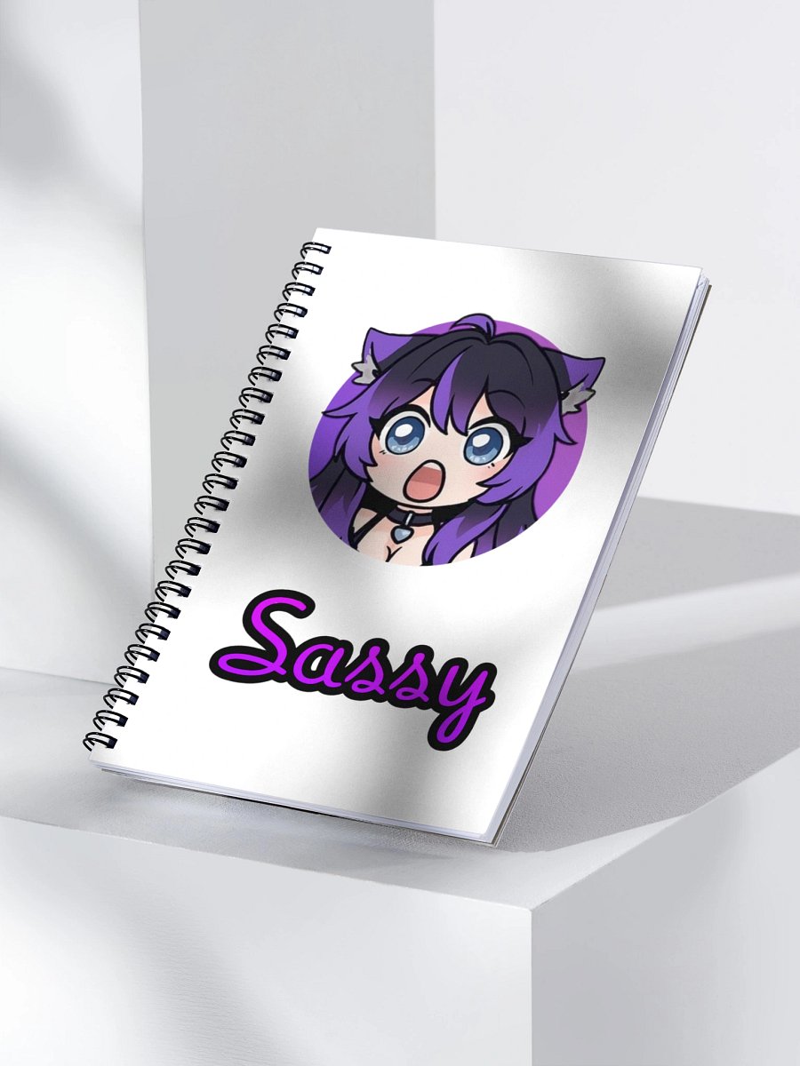 Sassy Notebook product image (3)