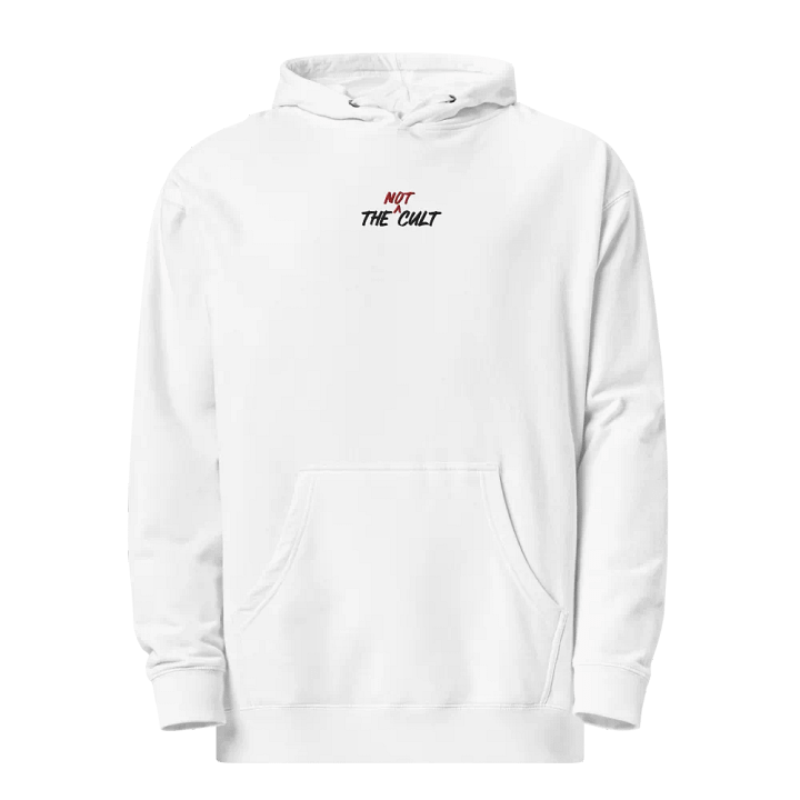 Not-Cult Embroidered Hoodie (LIGHT) product image (1)